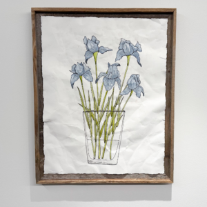 Iris